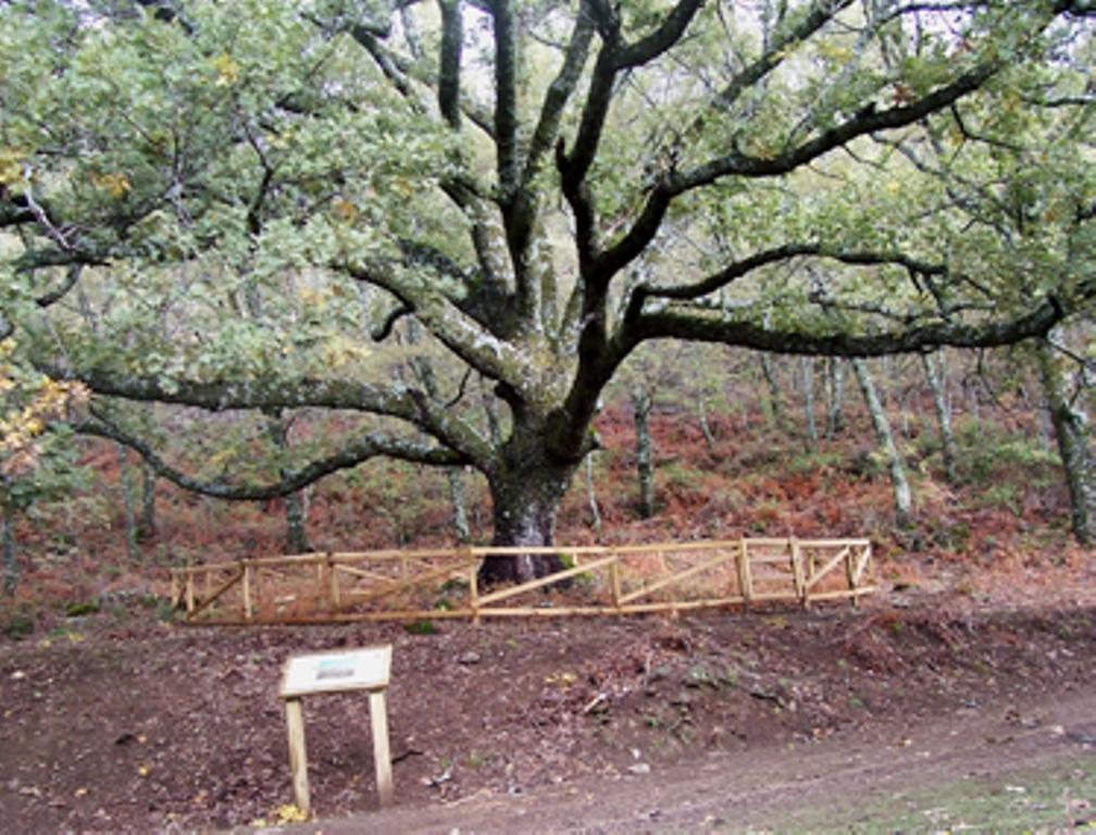 Las Calabazas Barrado Стая снимка